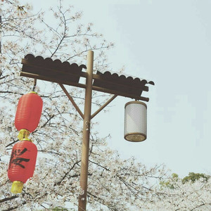 3d动漫精品一区视频在线观看
